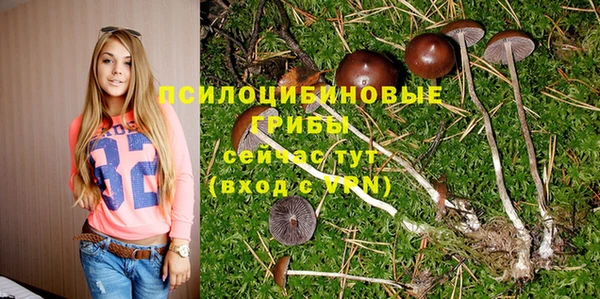 дурь Ладушкин