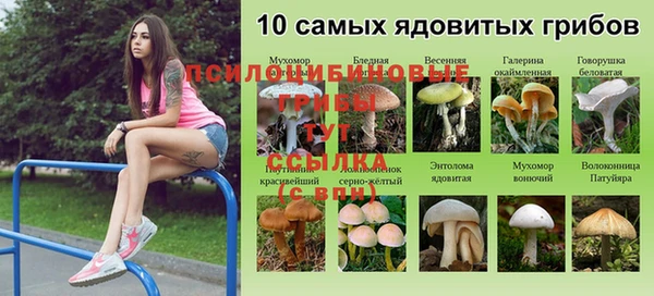 марки lsd Лабытнанги