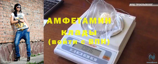 амф Кукмор
