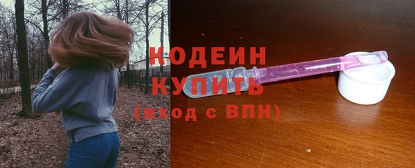 дурь Ладушкин