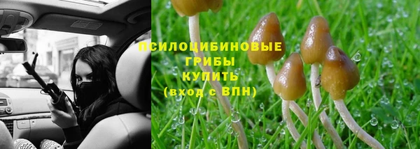 дурь Ладушкин