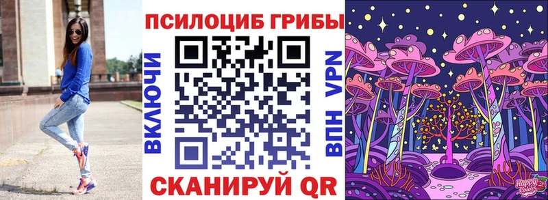 наркошоп  Ленинградская  Галлюциногенные грибы MAGIC MUSHROOMS 