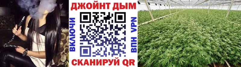 Бошки марихуана планчик  Ленинградская 